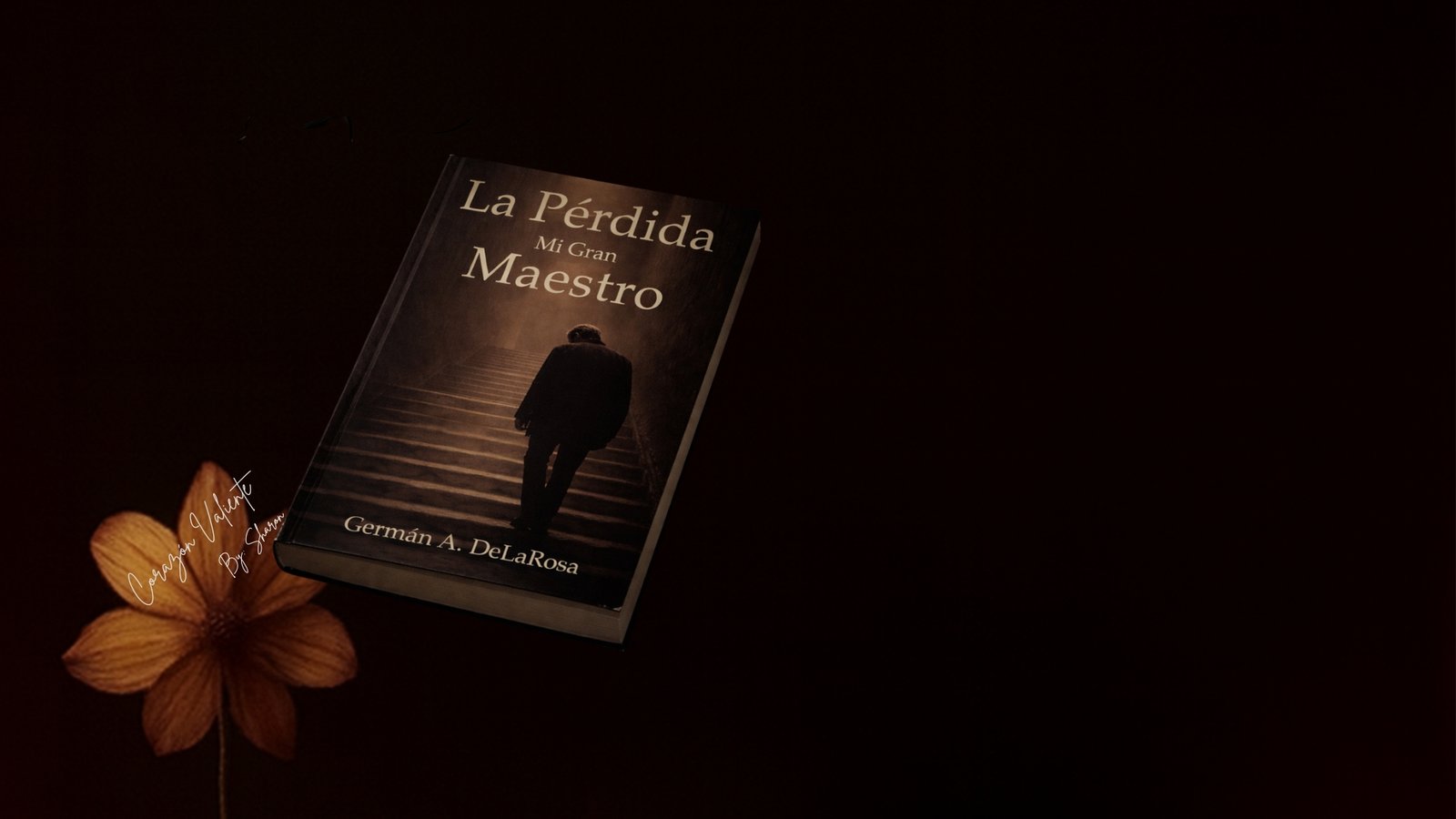 Libros sobre duelo y finitud